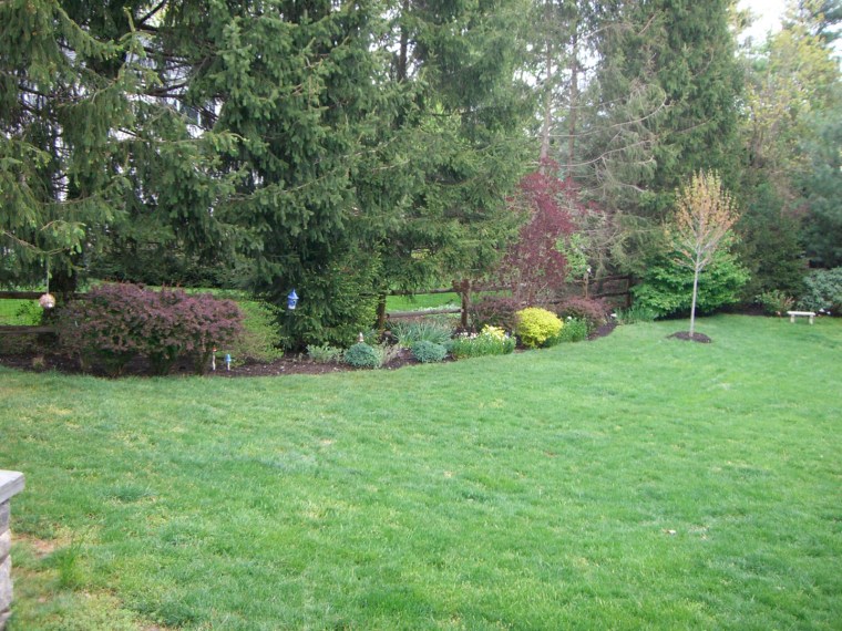 Partial view of backyard