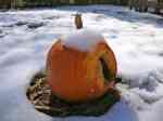 FrostedPumpkin
