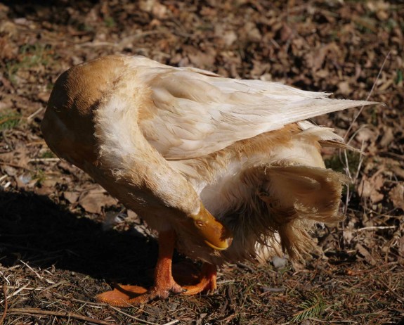 Don't try this at home.