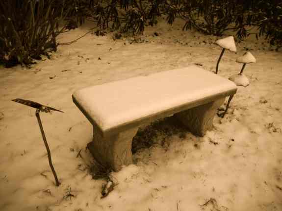 Good for stopping by snowy woods.