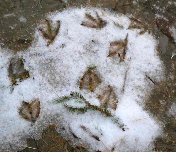 Some days it seems like we just don't get anywhere.