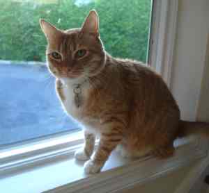 Her brother, Frankie.