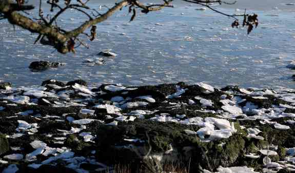 Gives new meaning to "on the rocks".