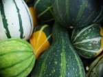 gourds2