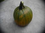 pumpkin-3