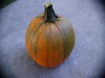 pumpkin-6