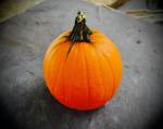 pumpkin-final