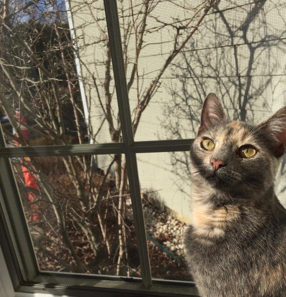 stacey-in-winter-light