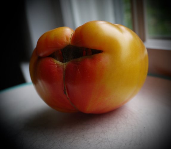 Scary tomato